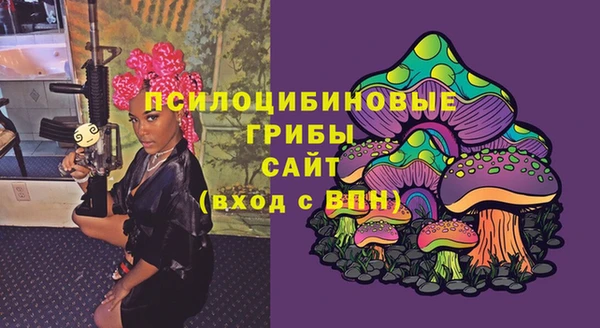 spice Армянск