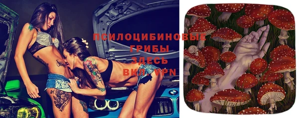 spice Армянск