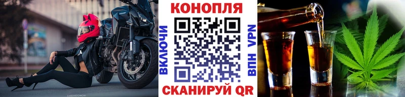 Шишки марихуана планчик  сколько стоит  Белорецк 